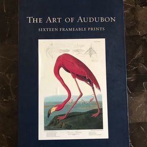 The Art of Audubon: Sixteen Frameable Prints